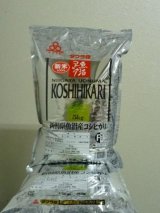 新米続々【入荷】