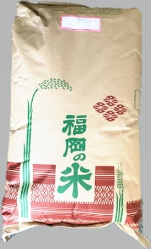 画像1: 【特別栽培米】令和5年産福岡県産つやおとめ「SAYA」玄米30ｋｇ