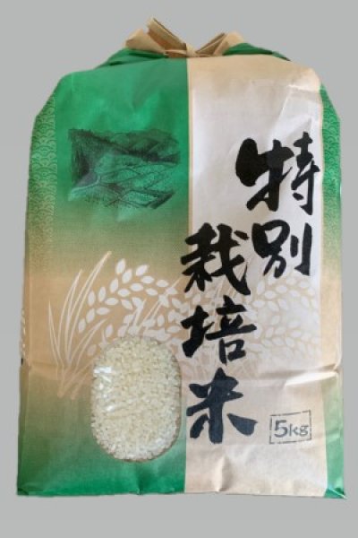 画像1: 【お米マイスター推奨品】【特Aランク】特別栽培米2ｋｇ (1)