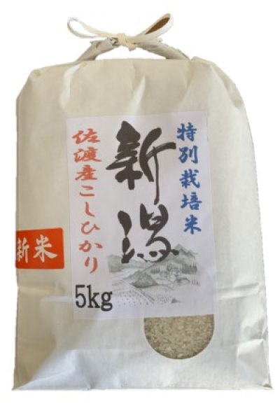 画像1: 【特別栽培米】令和6年産新潟県佐渡産コシヒカリ5ｋｇ (1)