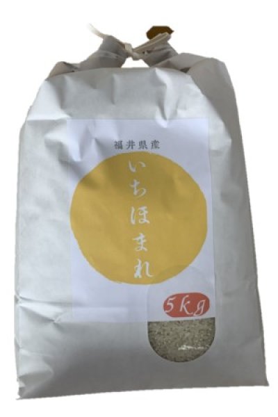 画像1: 令和6年産福井県産「いちほまれ」5ｋｇ (1)
