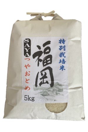 画像1: 【特別栽培米】令和5年福岡県産つやおとめ「SAYA」5ｋｇ