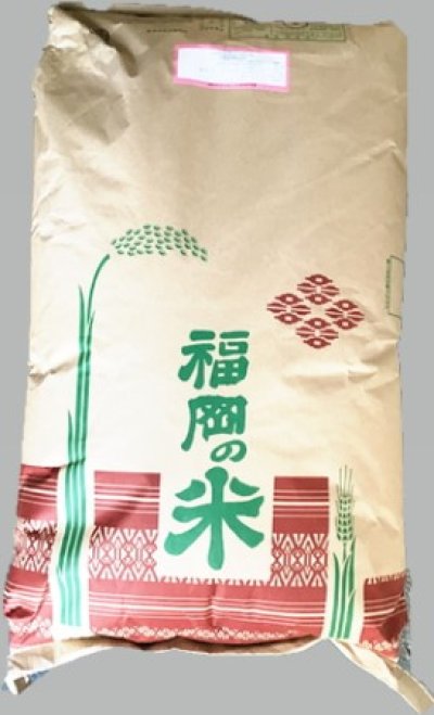 画像1: 【特別栽培米】令和5年福岡県産つやおとめ「SAYA」5ｋｇ