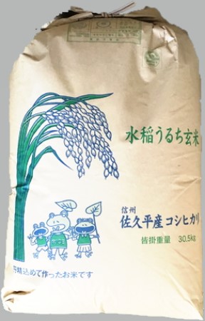 令和3年産 長野県コシヒカリ 玄米30kg - 米/穀物
